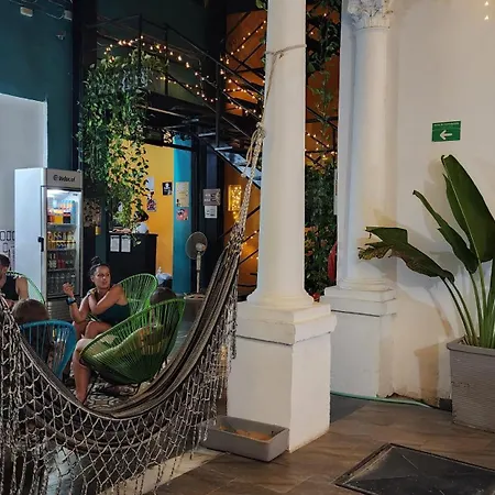 Baboon Hostel-2