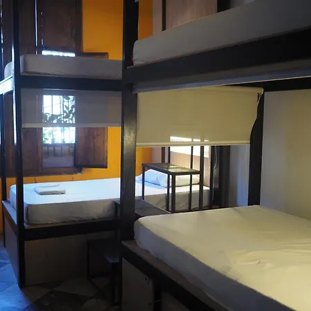 Baboon Hostel-3